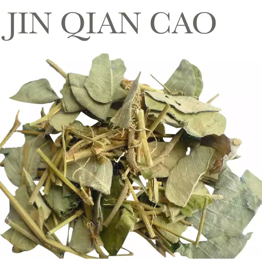 

10 G 50 GR 100 GRAM 金钱草 JIN QIAN CAO GOLD COIN MONEY GRASS LYSIMACHIA HERB HERBA LYSIMACHIAE