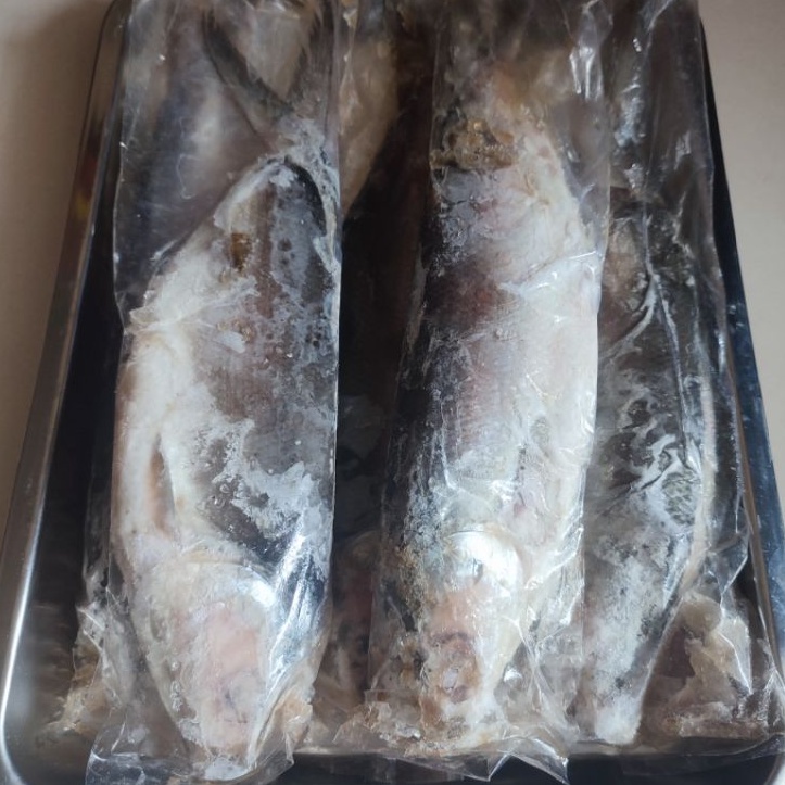 

Bandeng tanpa duri frozen 400g