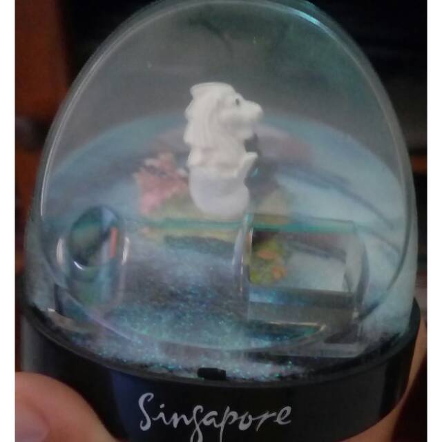 

Snowglobe Singapore