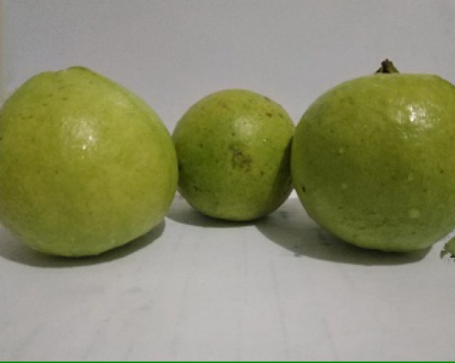 

Kunci Sepeda Motor