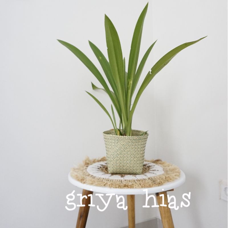 cover pot plastik / keranjang anyaman