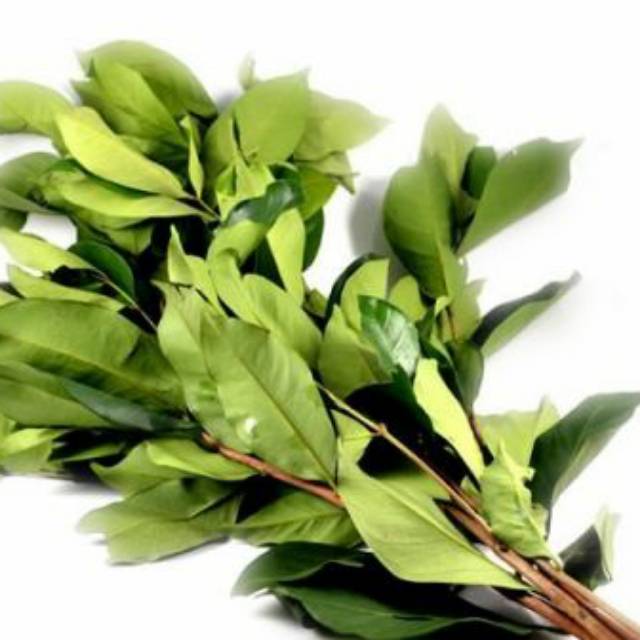 

Daun salam per 250gram