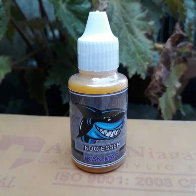 Indo essen Pisang raja sari Kroto