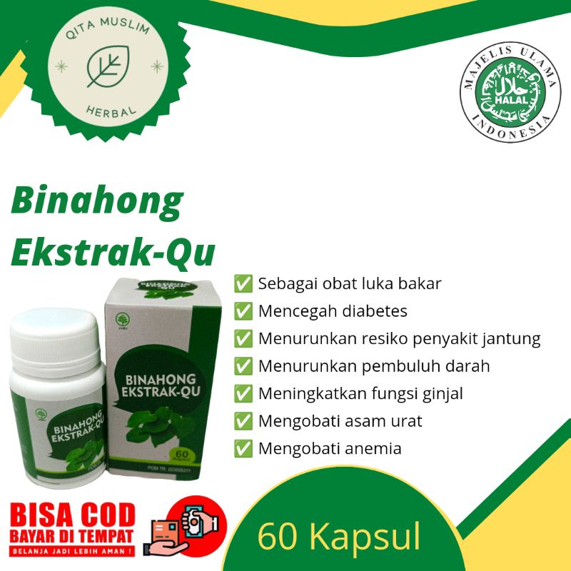 Binahong Ekstrak-Qu Isi 60 Kapsul ( CV. Kharisma Herbal Nusantara )