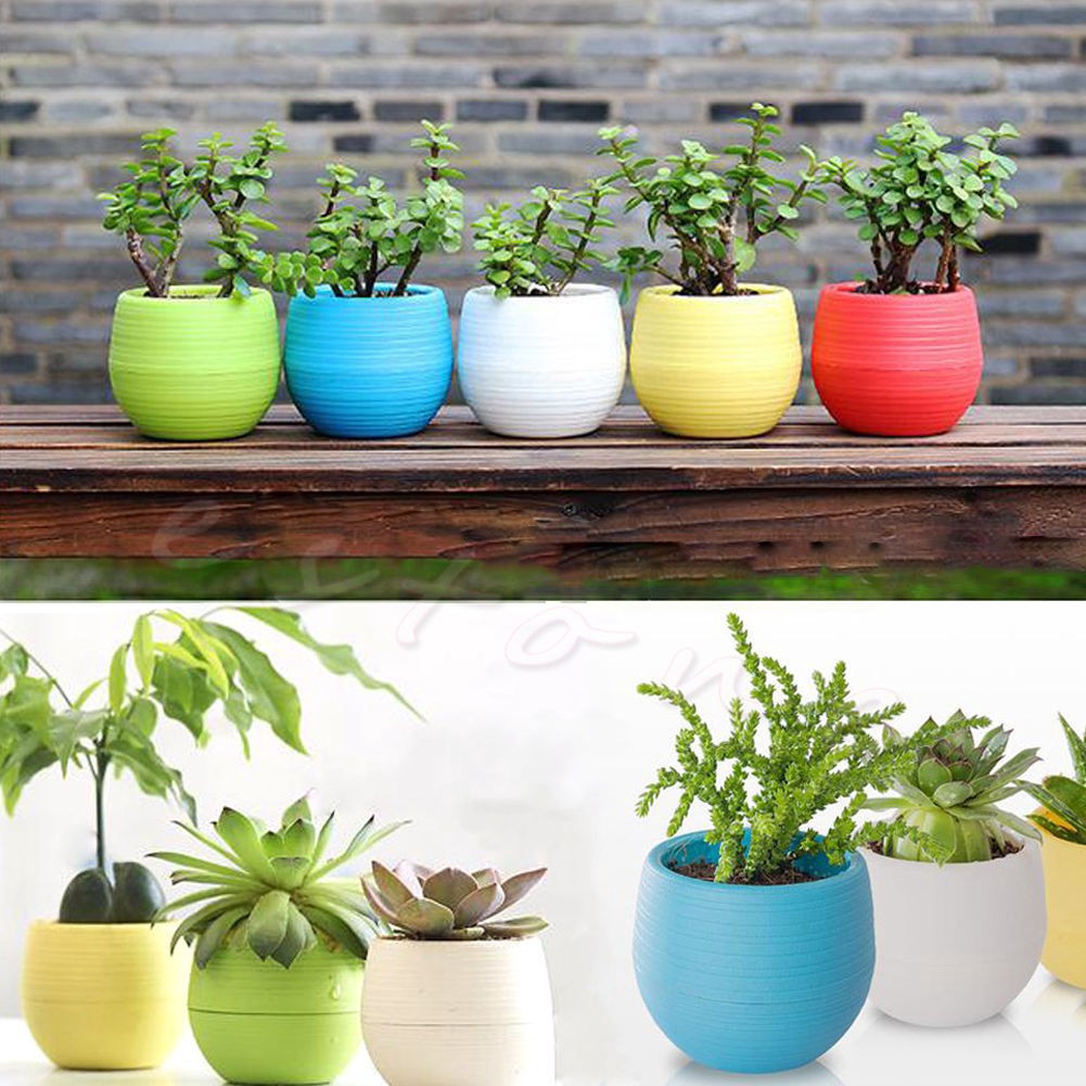 Pot Bunga Mini Bahan Plastik Warna Warni Ukuran 7 * 7cm