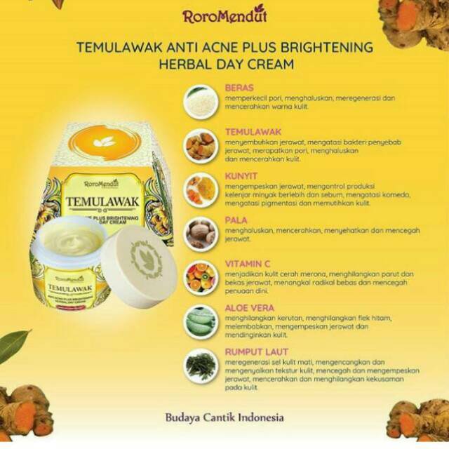 BARU KRIM ANTI ACNE TEMULAWAK DAY CREAM Roro mendut .. BPOM & HALAL