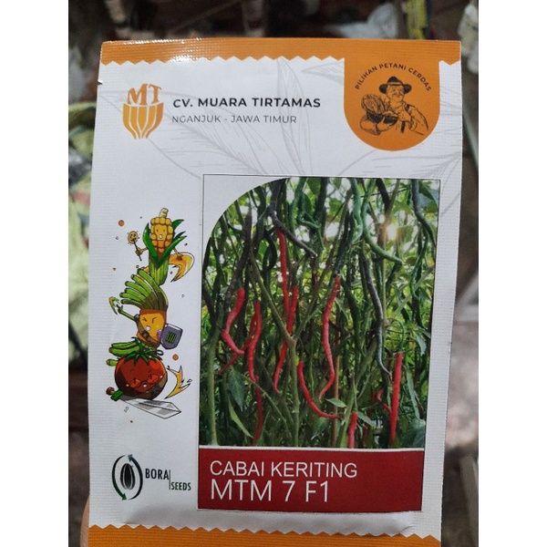 Benih Cabai Keriting MTM 7 F1