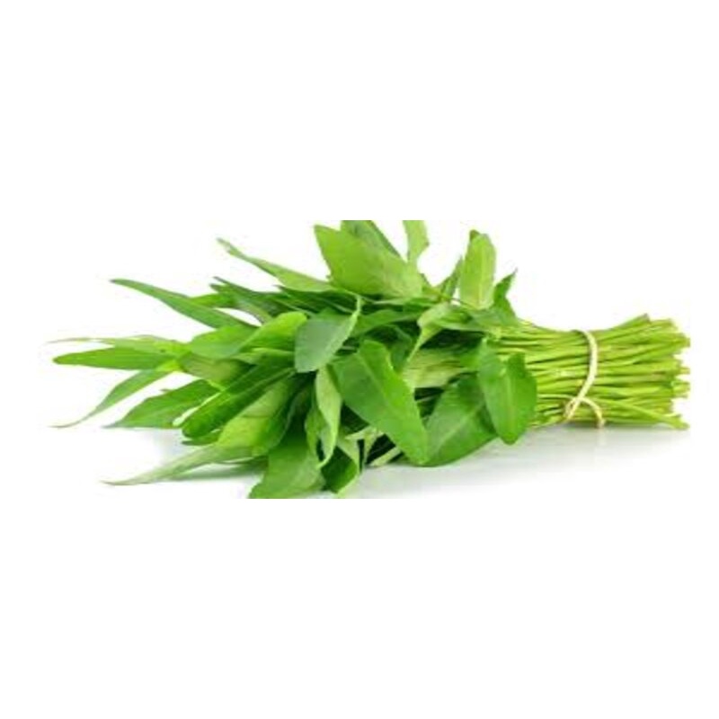 Benih Sayuran Kangkung Cap Panah Merah
