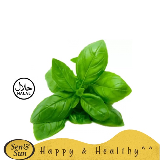 

Sen&Sun Daun Basil 100 gr