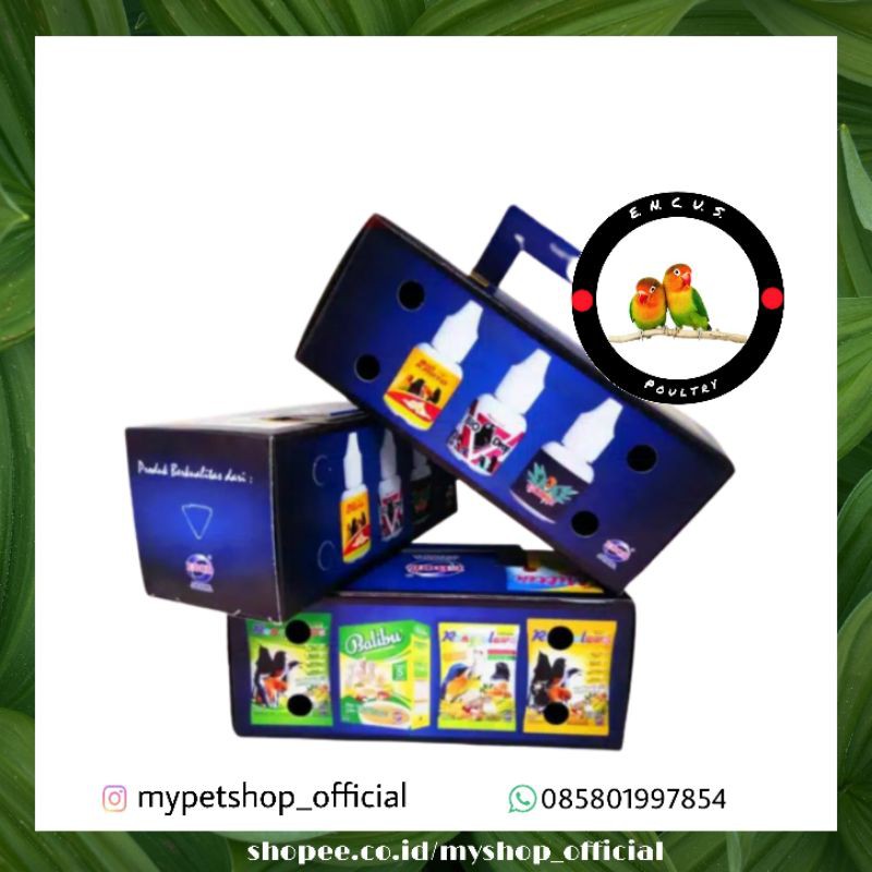 DUS BURUNG KOTAK KARDUS UNTUK BAWA BURUNG EBOD JAYA