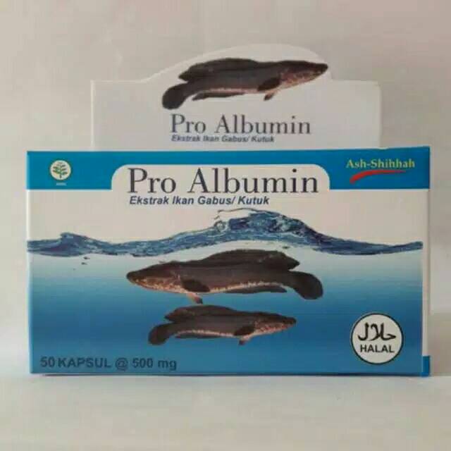 Pro Albumin Ash-Shihhah Original | Kapsul Extrak Ikan Gabus / Kutuk | 50 kapsul