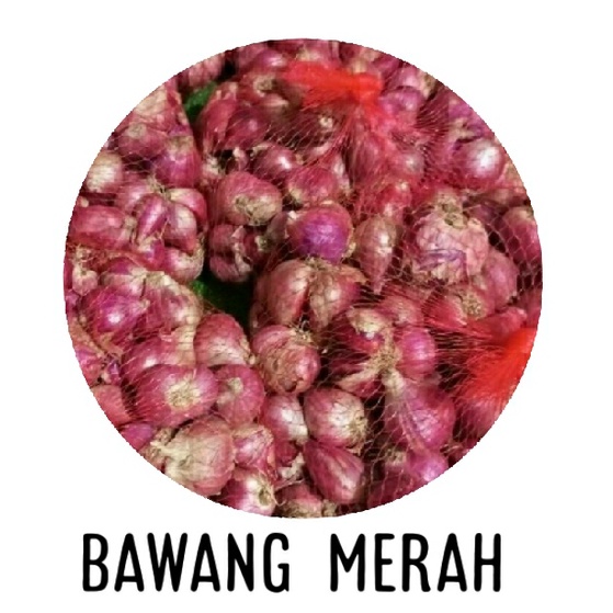 

bawang merah asli besar bawang segar bawang brebes bumbu bawang merah