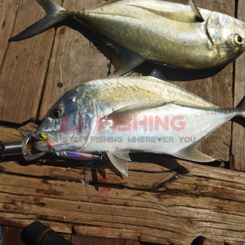 assist hook double, assit hook jig, assist hook micro jig, assist hook 20 gr, 30 gr