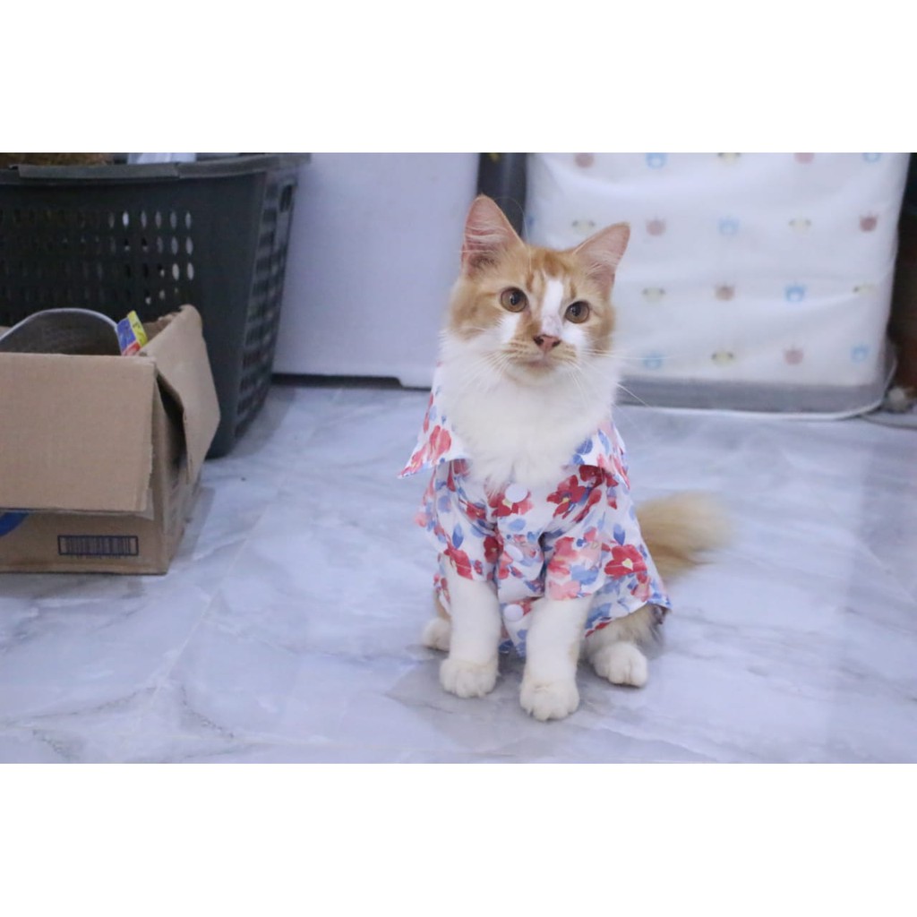 [Bahan adem] baju pantai warna toska lucu untuk kucing dan anjing / baju kucing murah size S M L XL
