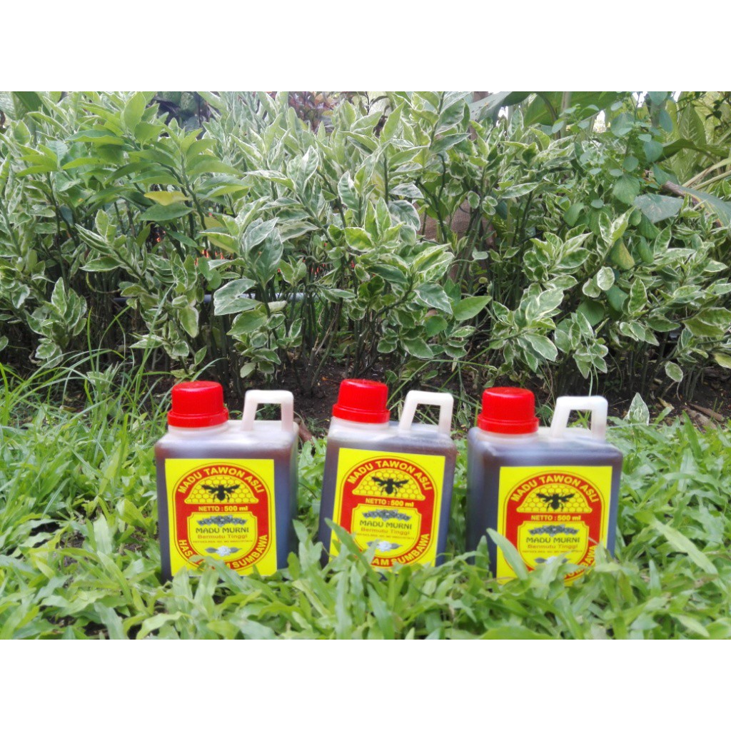 

MADU HITAM ASLI SUMBAWA 500 ML