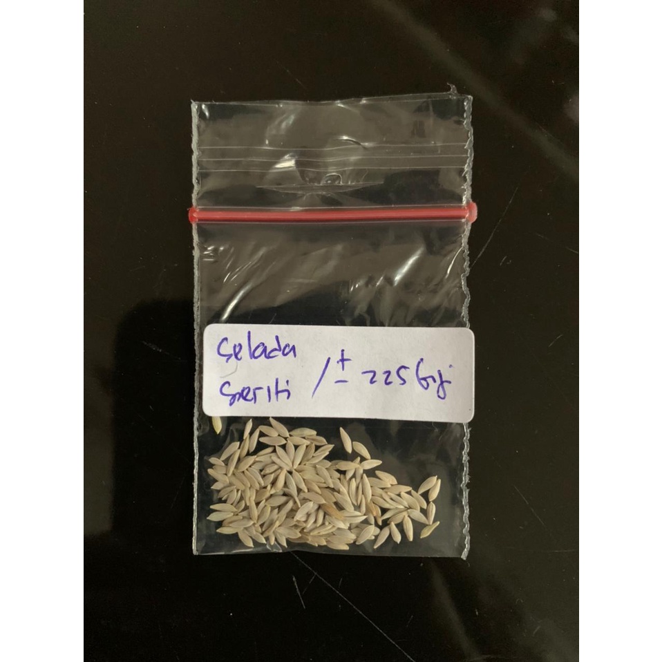 Benih Selada Seriti Agrosid