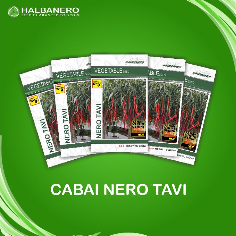 benih cabe keriting nero tavi kemasan 10gram+5gram