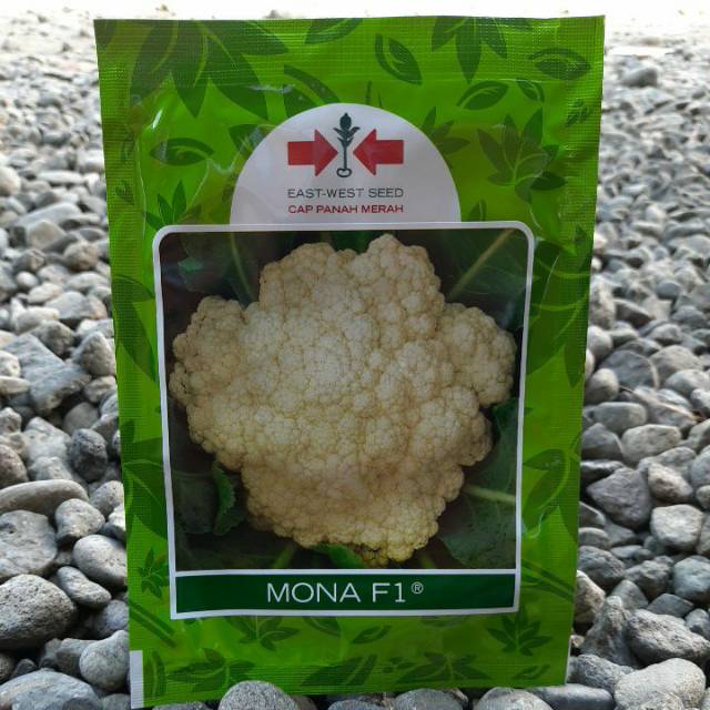 Benih Bibit Biji Kol Bunga Dataran Rendah MONA F1 10gr