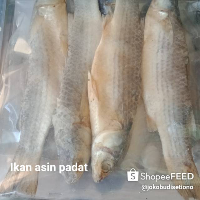 

Ikan Asin Padat (230 gram)