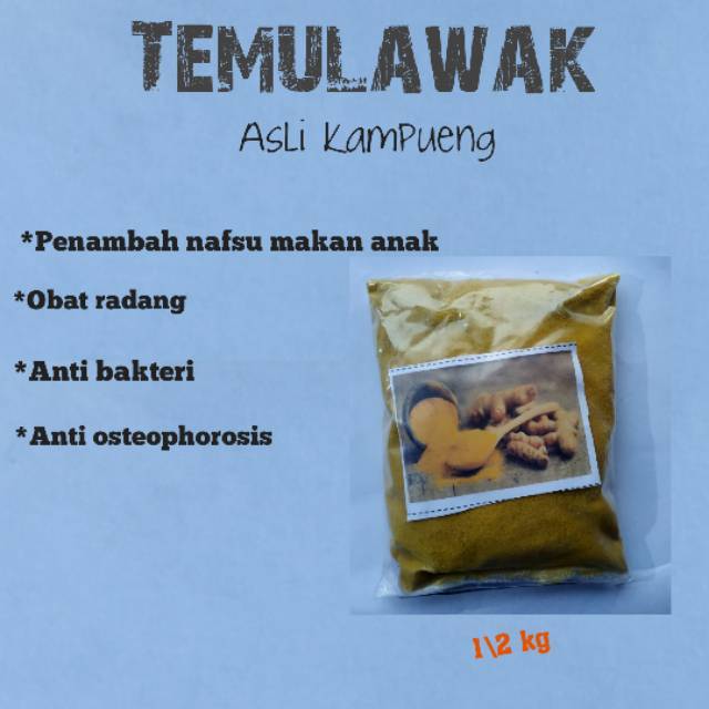 Temulawak/jamu/nafsu makan/obat radang/herbal alami/ostioporosis/pencernaan