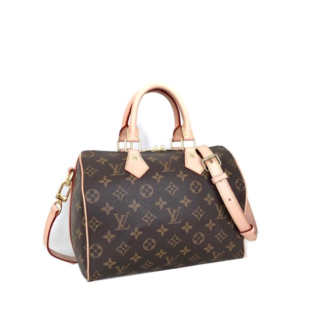 LV Speedy Monogram Handbag 25