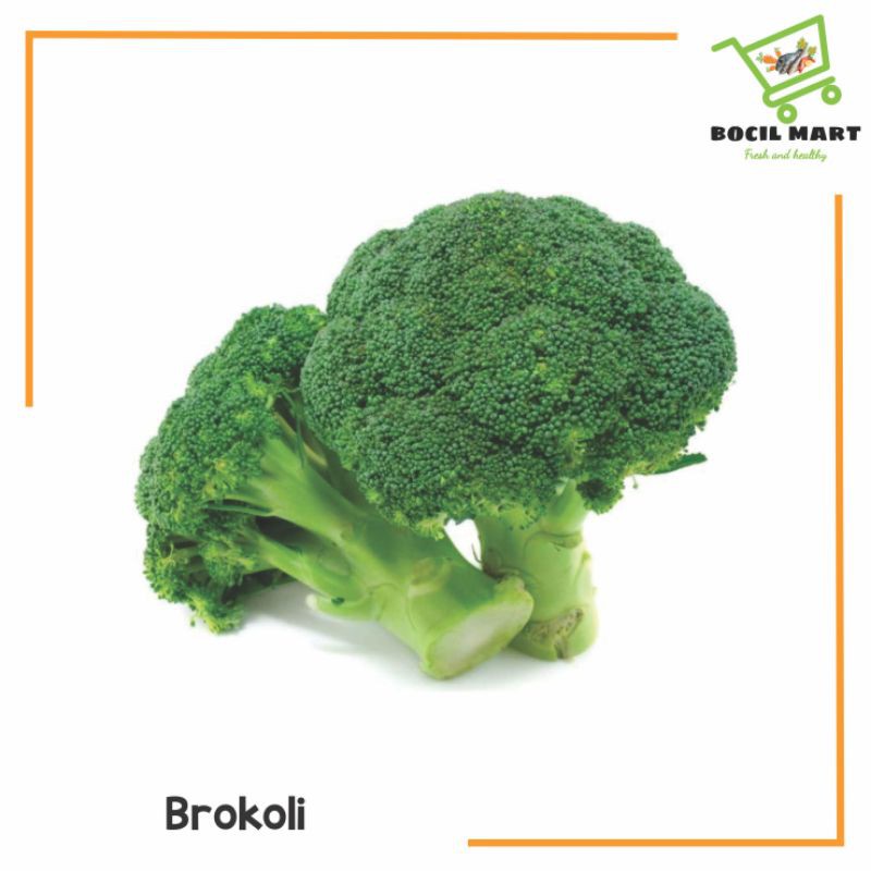

[BOCIL MART] BROKOLI 1 PCS