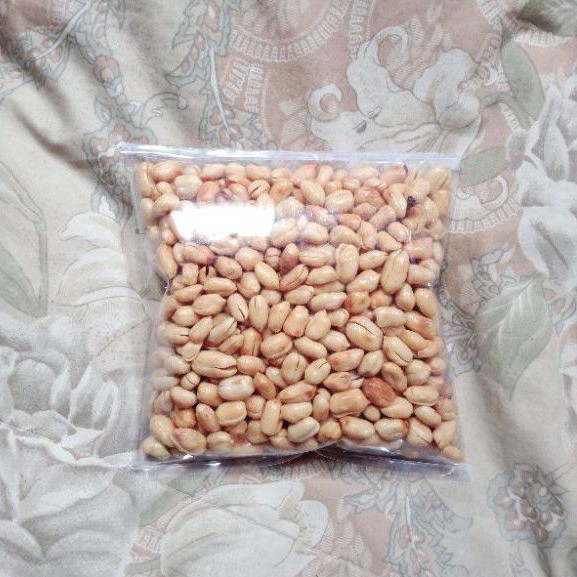 

KACANG BAWANG