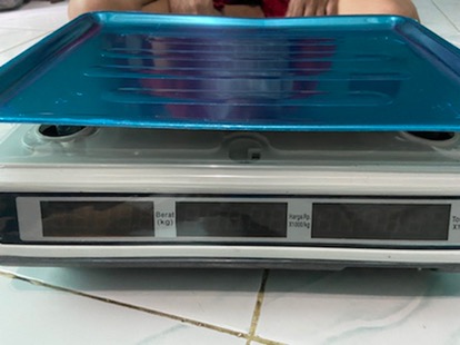 Ls-21 Timbangan Buah Kue Dapur Digital Computing Scale 30 Kg Double Display  Timbangan Digital 30kg