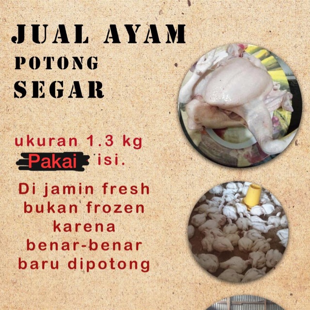 

Ayam fresh
