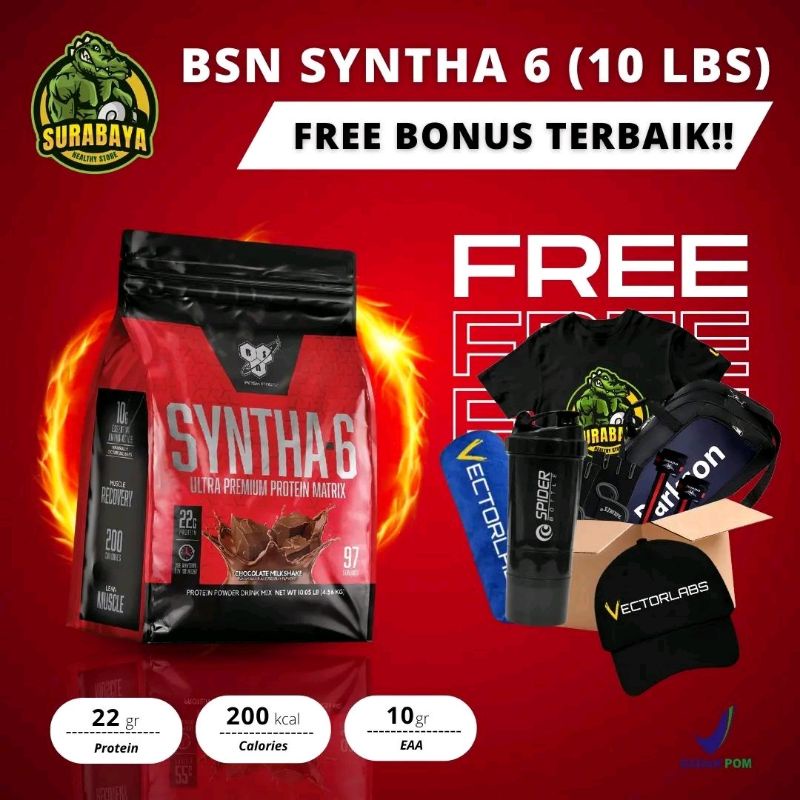 BSN Syntha 6 10 Lbs Syntha6 Syntha-6 Whey Protein Isolate Matrix 10lbs BPOM