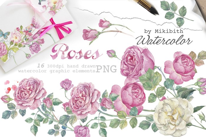 Hand Drawn Watercolor English Roses - Vector Designs