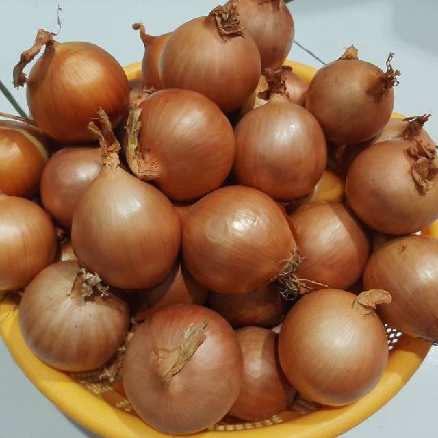 

Bawang Bombay 500 gr