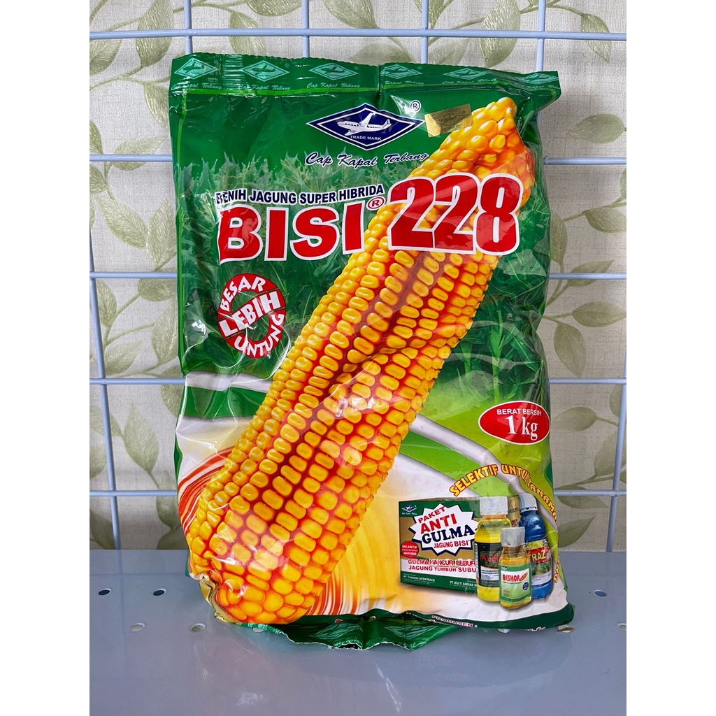 BENIH JAGUNG SUPER HIBRIDA BISI 228