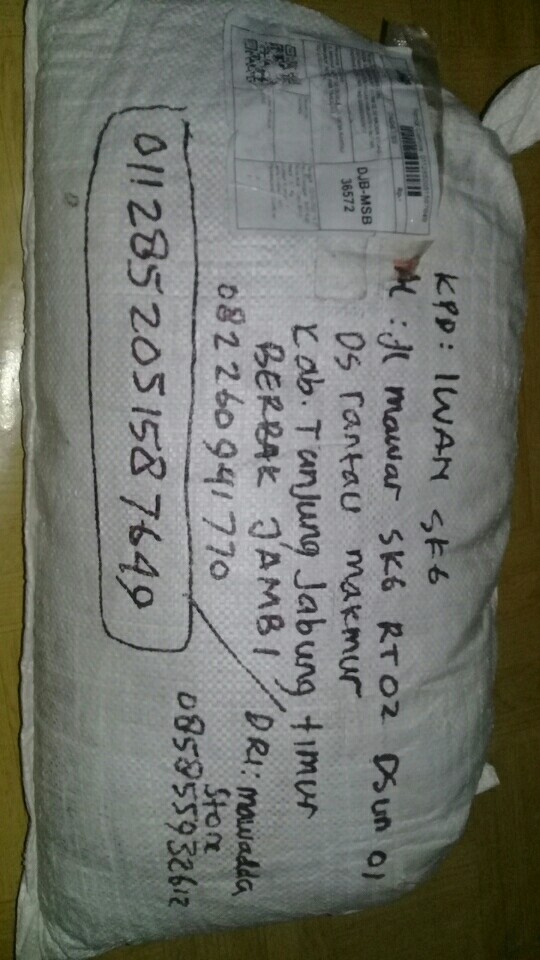 Benih Padi Ketan Grendel Bibit Unggul