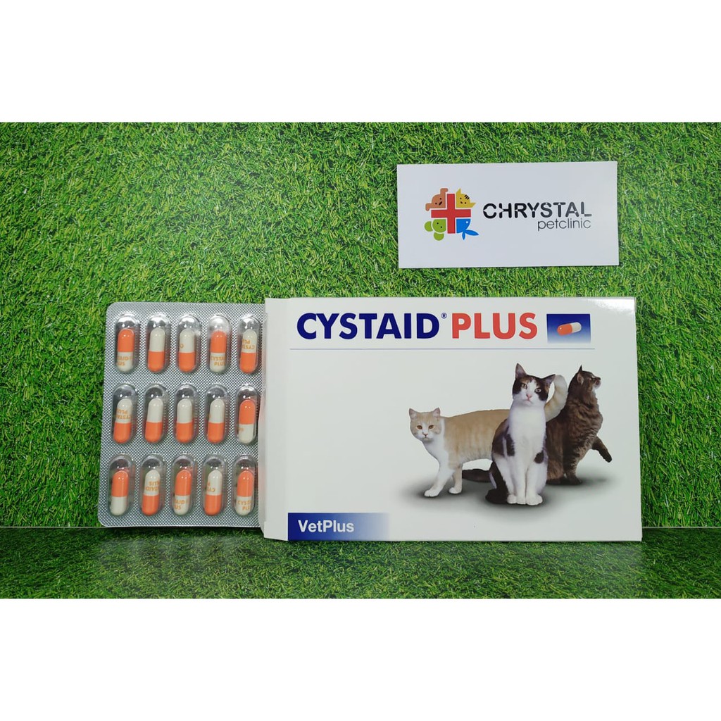 CYSTAID CAT PLUS PER 30 KAPSUL