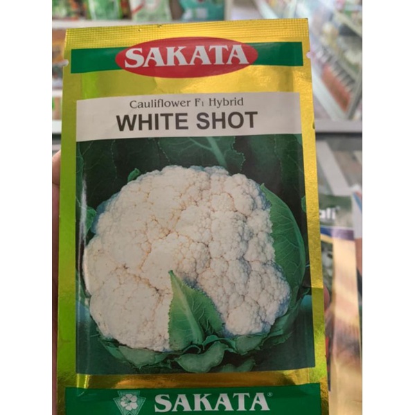 Benih Bunga Kol Hibrida SAKATA WHITE SHOT 10Gr