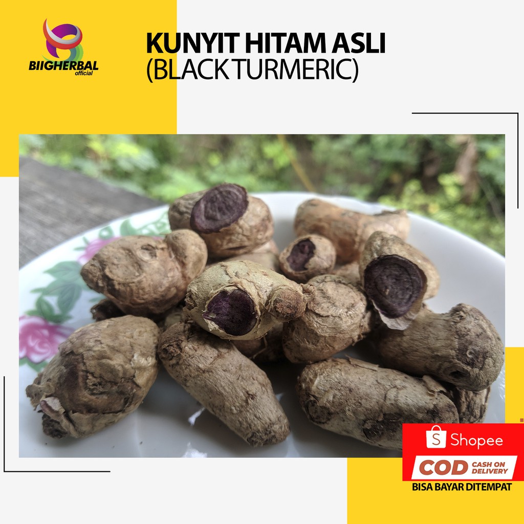 Kunyit hitam asli (Kaempferia Parviflora )