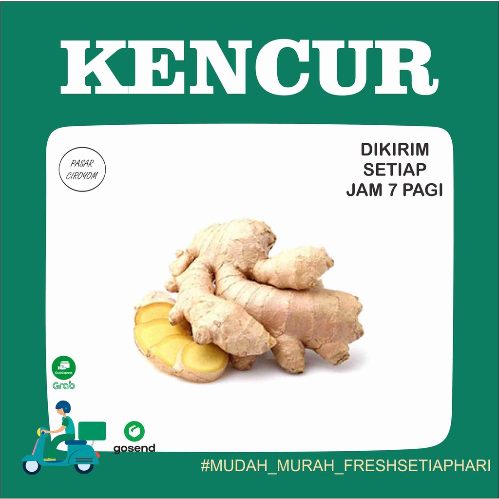 

KENCUR CIKUR FRESH MURAH BANDUNG