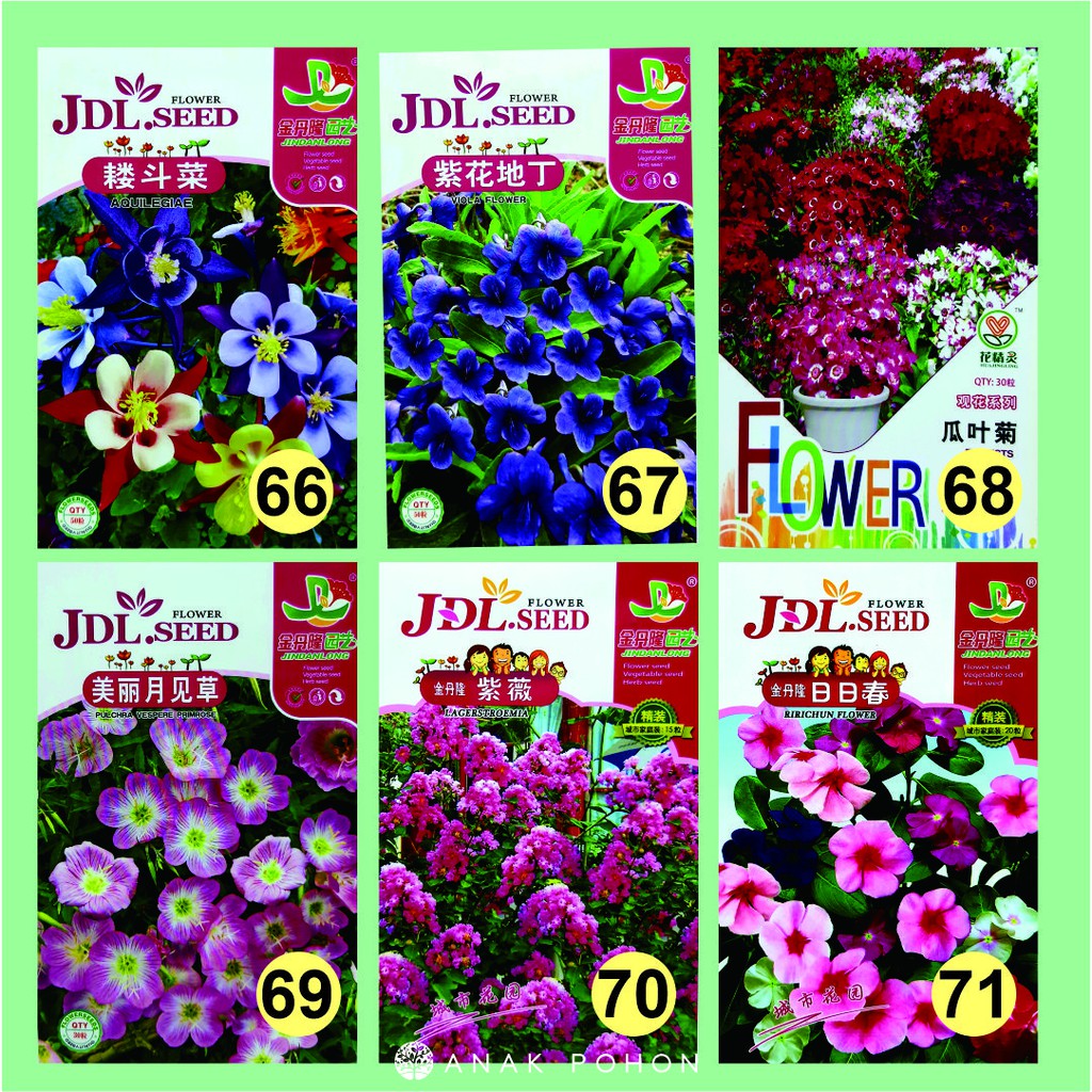 Benih Aneka Bunga Flower JDL Seed Retail Pack - Tipe C