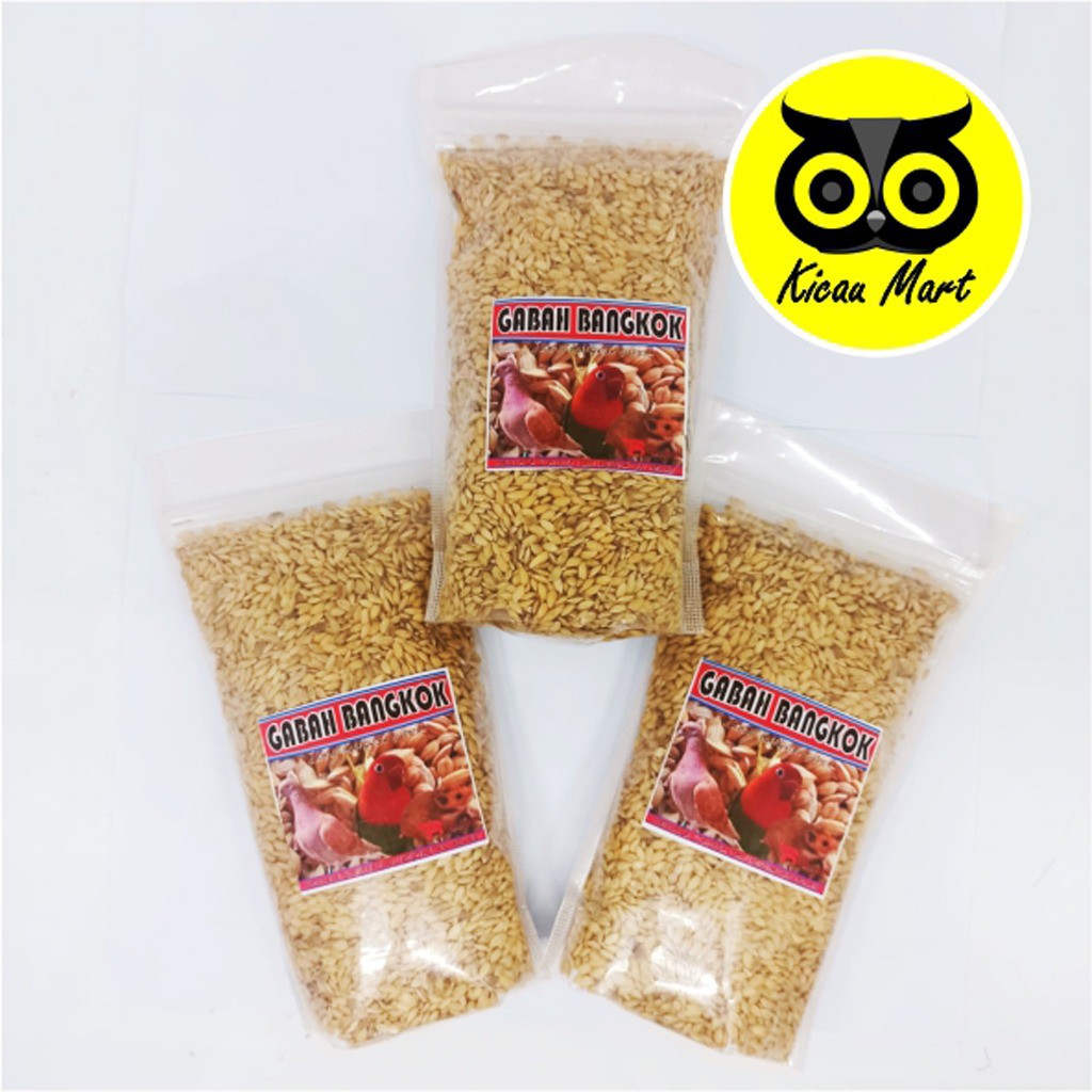 GABAH BANGKOK PILIHAN BEBAS KUTU PAKAN MAKANAN BURUNG MERPATI LOVEBIRD KENARI PARKIT HAMSTER GBBRF