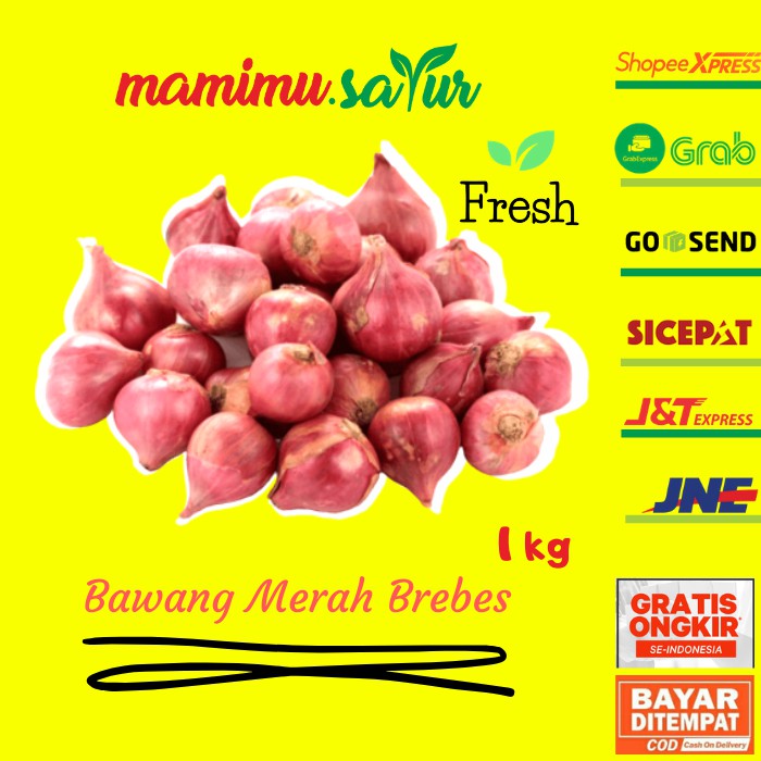 

Bawang Merah Brebes 1Kg Bawang Merah Brebes Super Fresh 1 Kg Sayuran Segar Kering M022C M022A