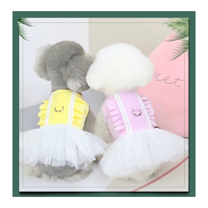 Mary korea tutu dress