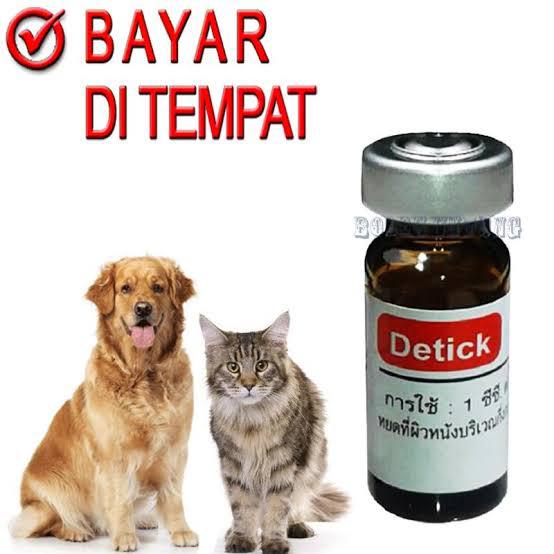 Detick Obat Kutu kucing 1 ml berat 0 - 10 Kg obat kutu tetes