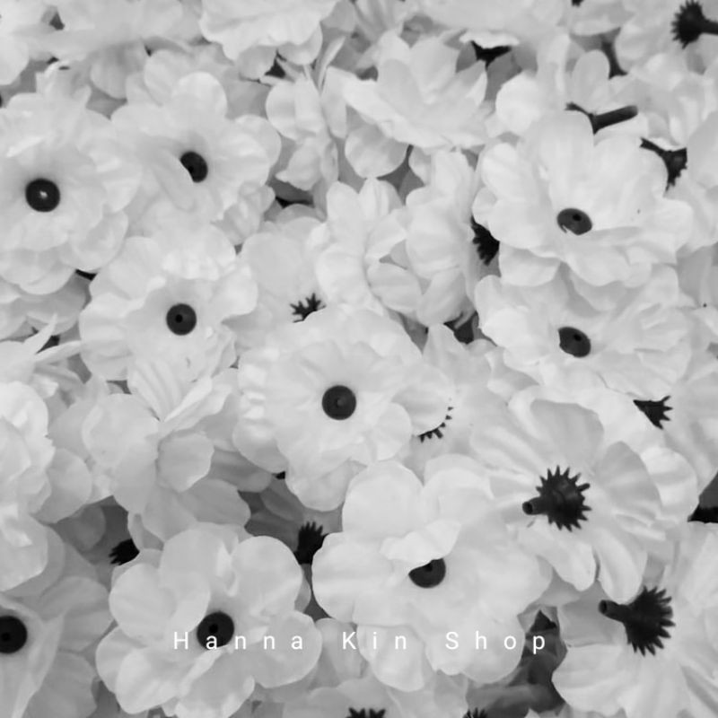 Bunga Suyok Putih 5cm isi 100