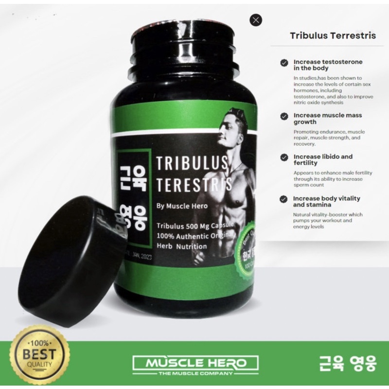 Promo BPOM Tribulus Terrestris Testosteron Kapsul Original Otot Badan Gym Setamina