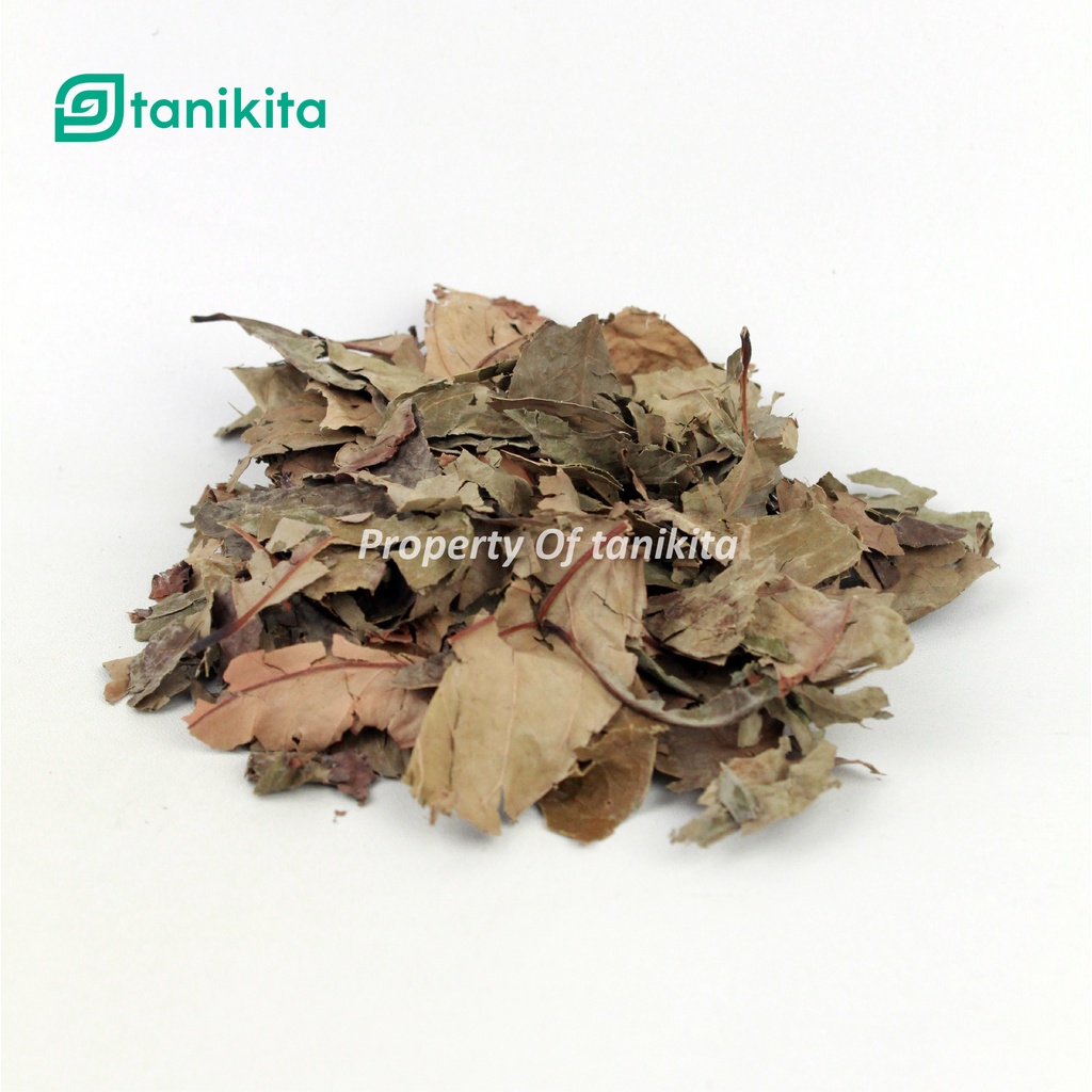 Daun Salam Kering 1Kg