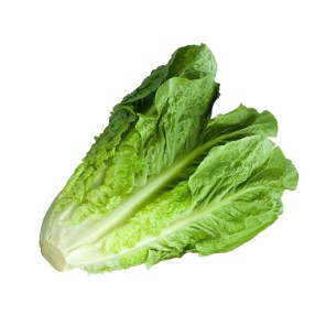 

Romaine / Cos Lettuce / 250gr #Segar #Online #Bandung #Cimahi