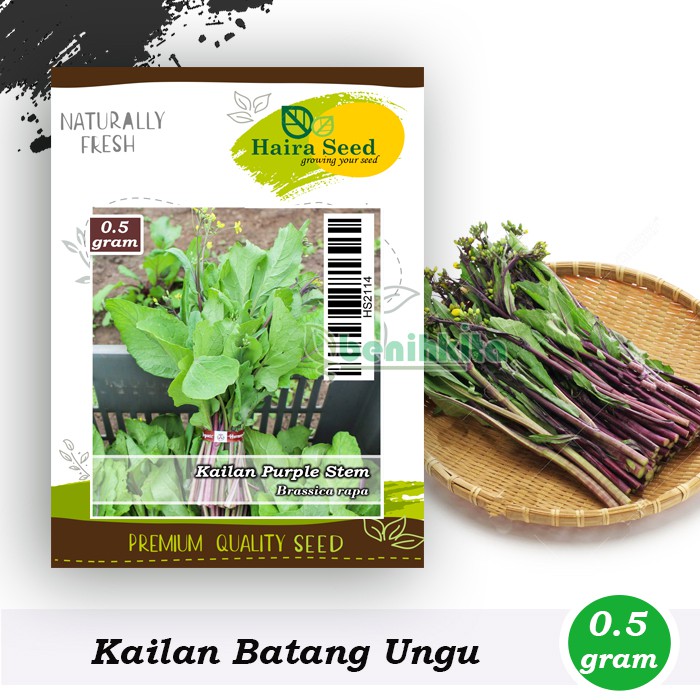 Benih-Bibit Kailan Purple Stem (Haira Seed)