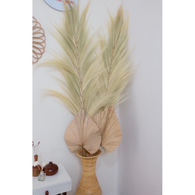 DAUN PALEM KERING RAYUNG STICK RAYUNG PAMPAS RAYUNG DAUN PALEM KERING RAYUNG STICK RAYUNG PAMPAS RAYUNG