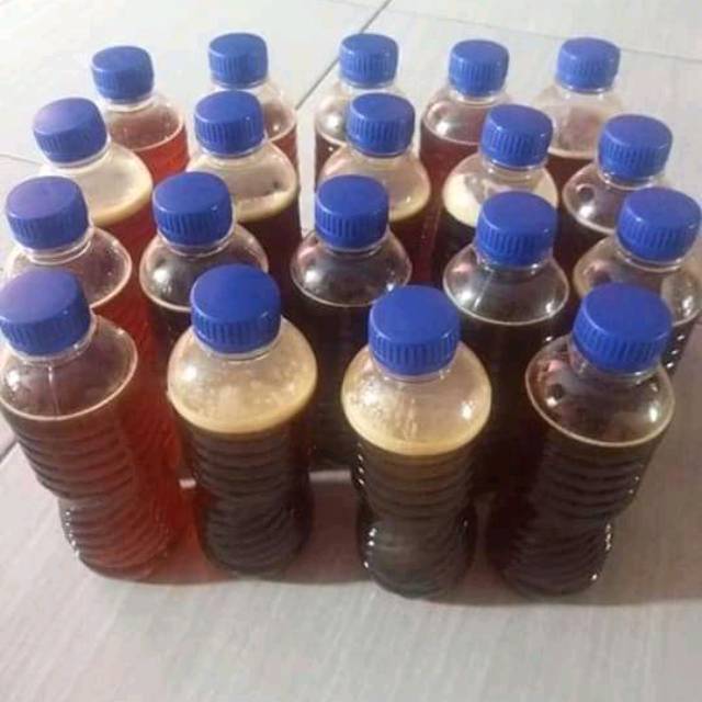 

Madu hutan asli jambi